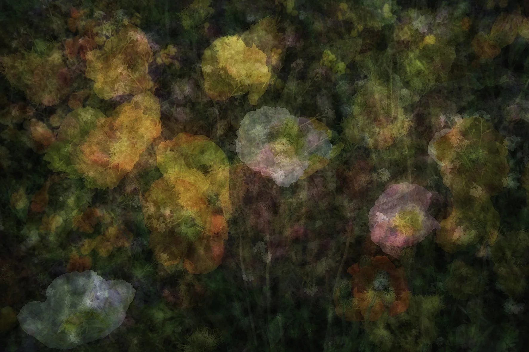 Œuvre photographique de Gilles Desrozier
