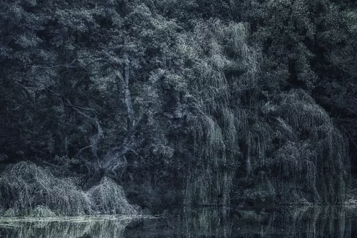 Les bords de la forêt couchée sur la rivière de la fée Morgane.