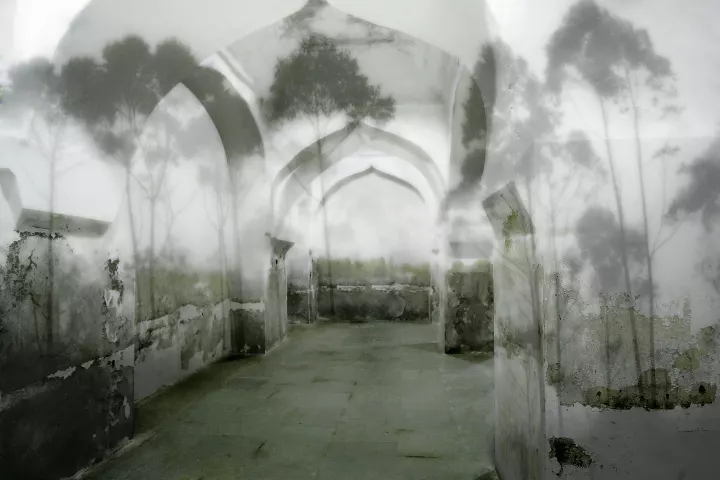 À l'intérieur d'un temple hindou aux murs blancs, une images d'arbres dans la brume projetée.