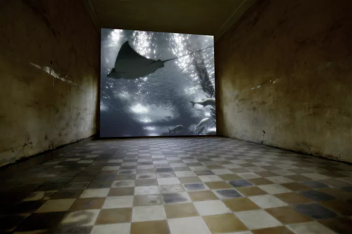 Dans une pièce vide du camp S21 avec son sol blanc et jaune en damier, on distingue l'image d'une raie dans les profondeurs marine projetée sur un écran géant au fond.