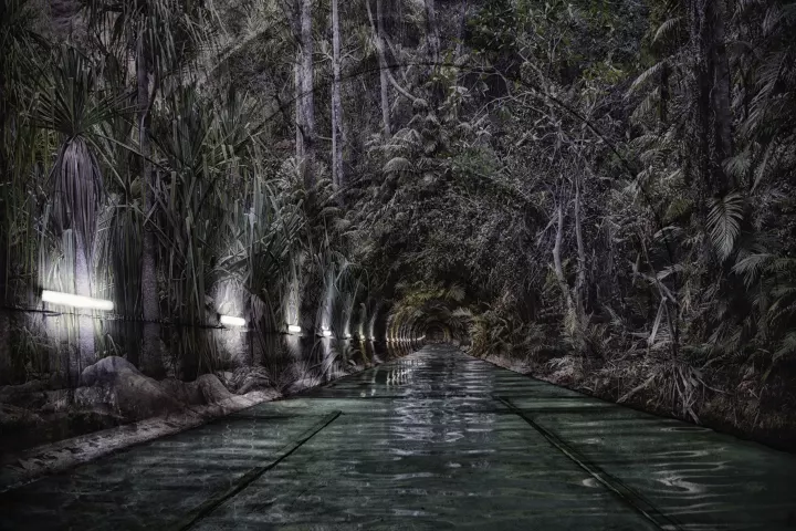 Un tunnel inondé avec une végétation tropicale en transparence sur les murs.