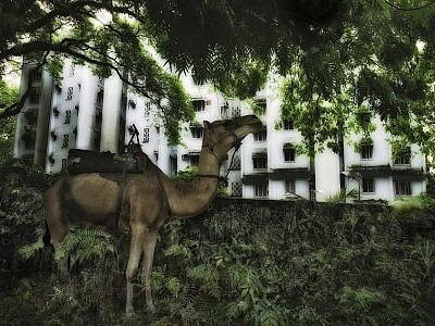 Le jardin des délices 005