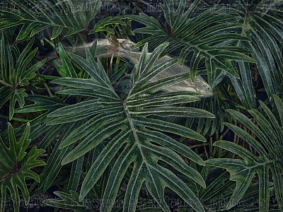 Le jardin des délices 008