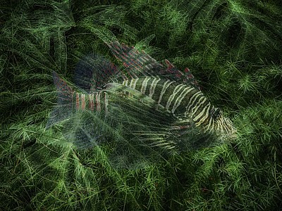 Le jardin des délices 011