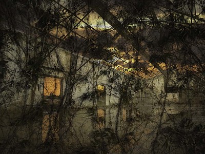 Le jardin des délices 013