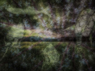 Le jardin des délices 017