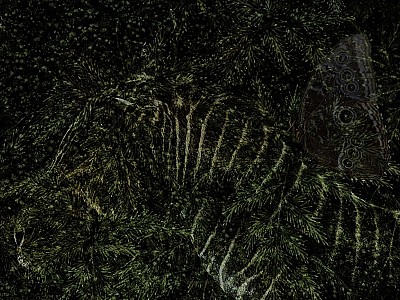 Le jardin des délices 019