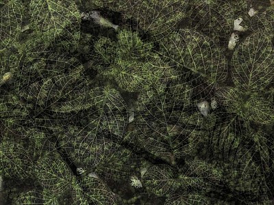 Le jardin des délices 021
