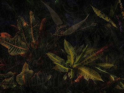 Le jardin des délices 026
